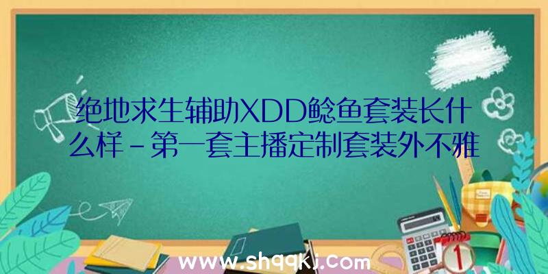 绝地求生辅助XDD鲶鱼套装长什么样-第一套主播定制套装外不雅展现