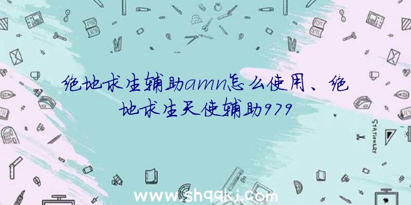 绝地求生辅助amn怎么使用、绝地求生天使辅助979