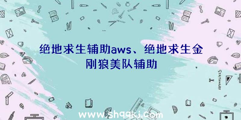 绝地求生辅助aws、绝地求生金刚狼美队辅助