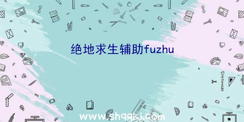 绝地求生辅助fuzhu