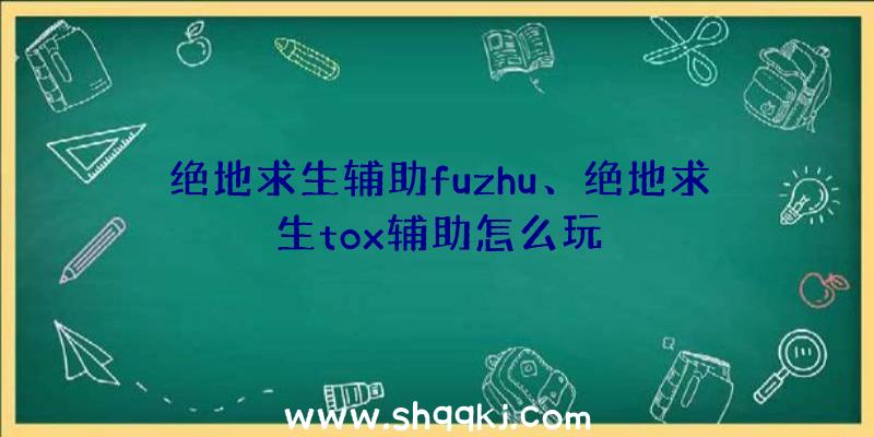 绝地求生辅助fuzhu、绝地求生tox辅助怎么玩