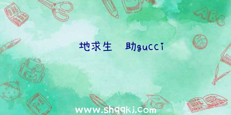 绝地求生辅助gucci