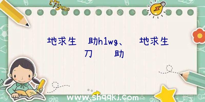 绝地求生辅助h1wg、绝地求生刀锋辅助