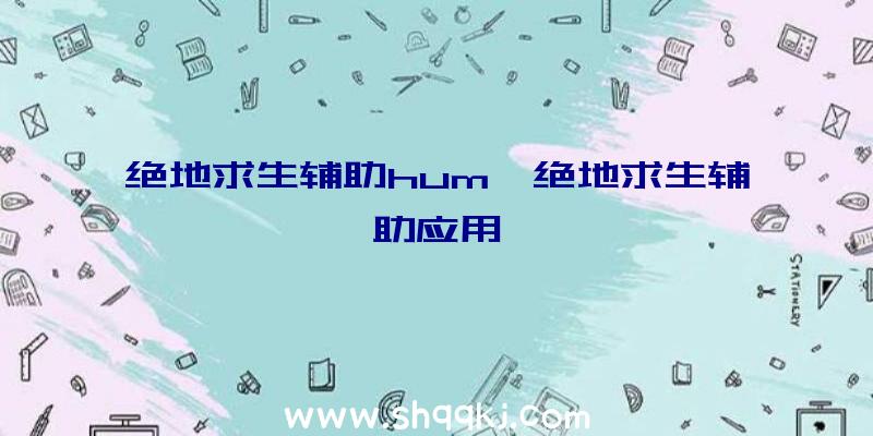 绝地求生辅助hum、绝地求生辅助应用