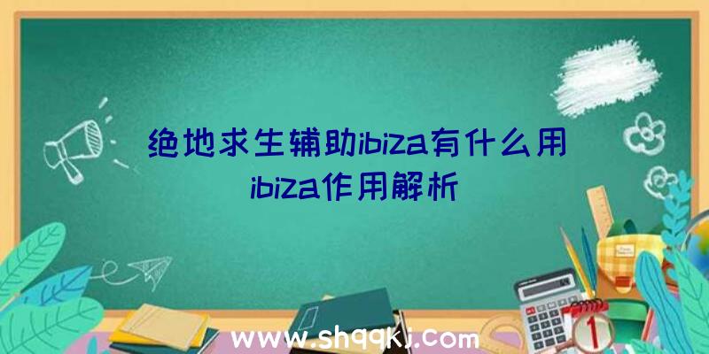 绝地求生辅助ibiza有什么用ibiza作用解析