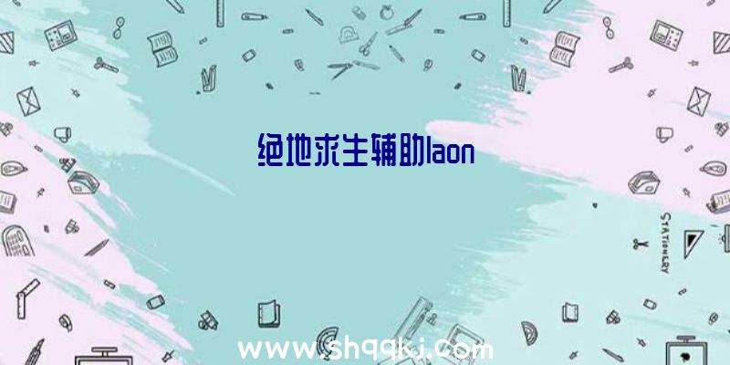 绝地求生辅助laon