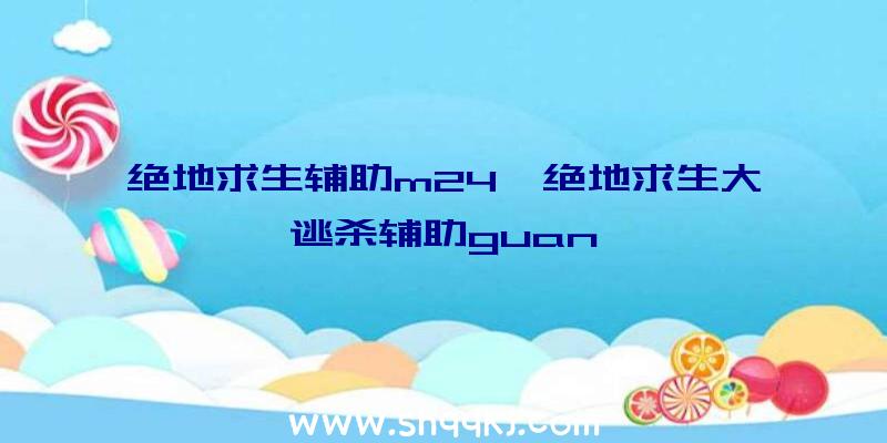 绝地求生辅助m24、绝地求生大逃杀辅助guan