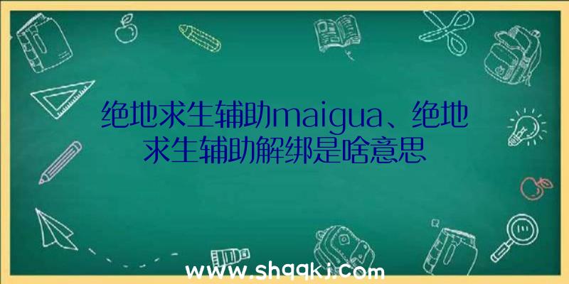 绝地求生辅助maigua、绝地求生辅助解绑是啥意思