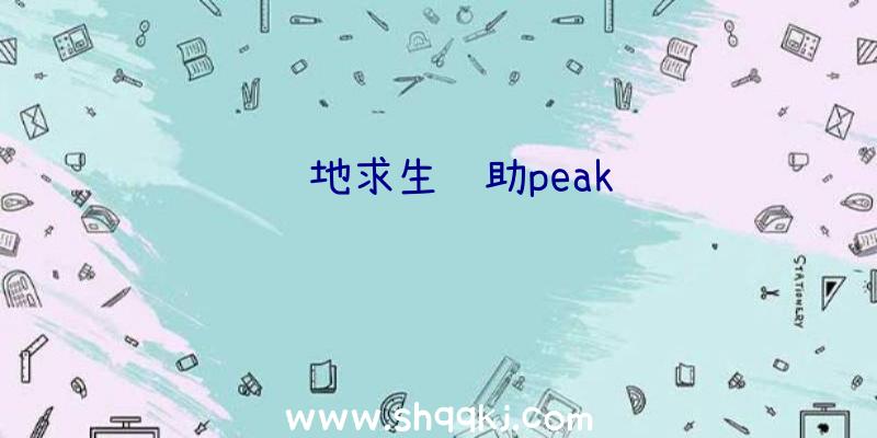 绝地求生辅助peak