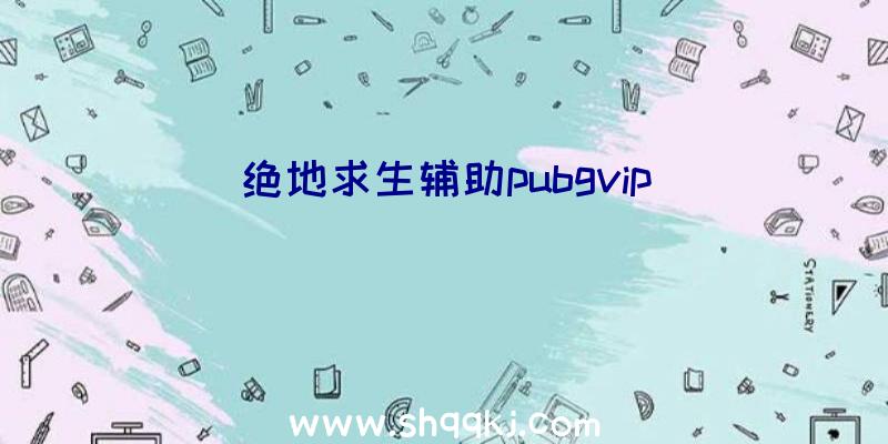 绝地求生辅助pubgvip