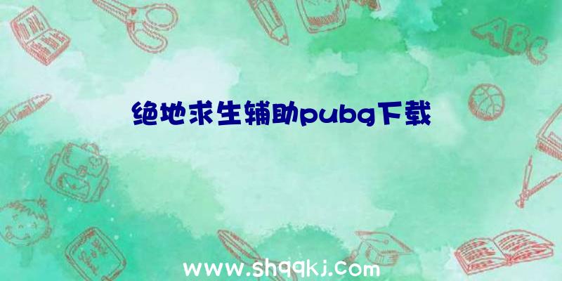 绝地求生辅助pubg下载