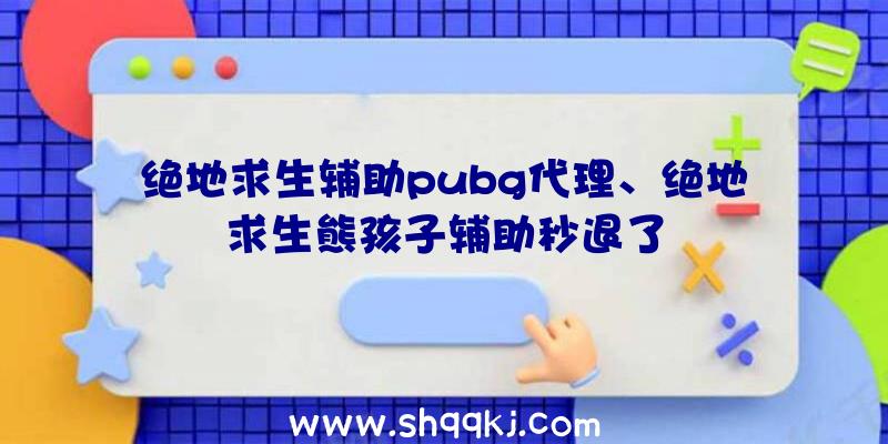 绝地求生辅助pubg代理、绝地求生熊孩子辅助秒退了