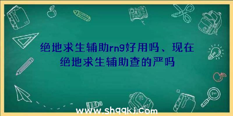 绝地求生辅助rng好用吗、现在绝地求生辅助查的严吗