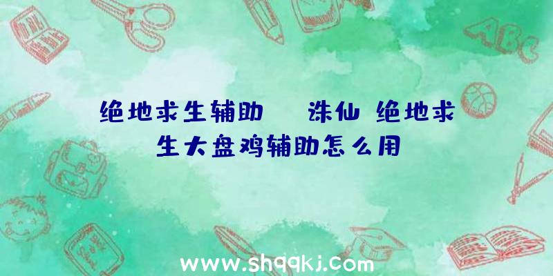 绝地求生辅助wgt诛仙、绝地求生大盘鸡辅助怎么用