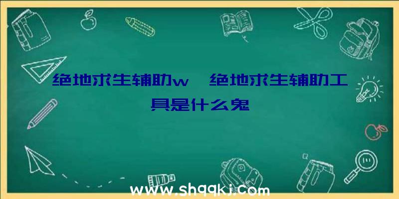 绝地求生辅助w、绝地求生辅助工具是什么鬼