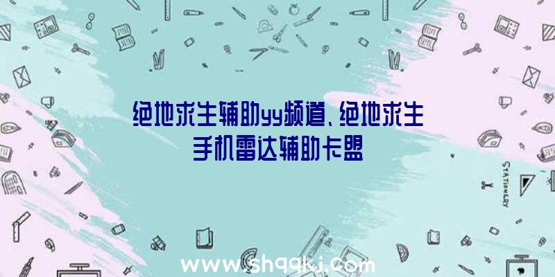 绝地求生辅助yy频道、绝地求生手机雷达辅助卡盟