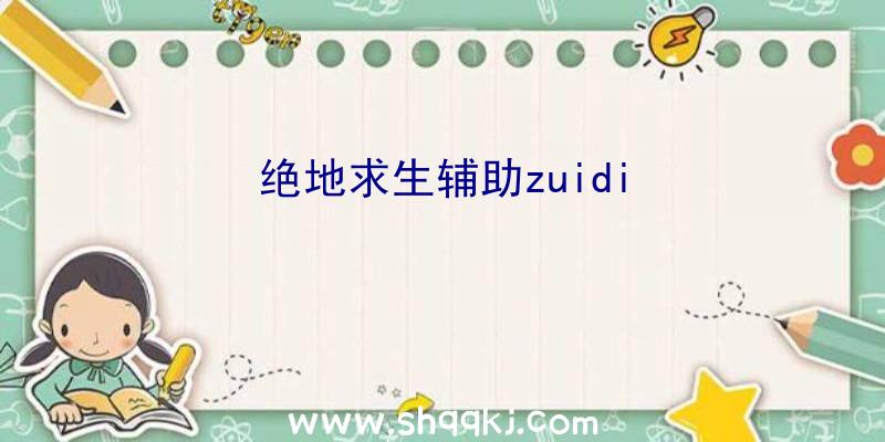 绝地求生辅助zuidi