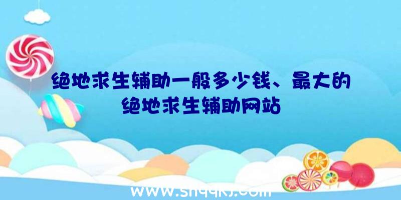 绝地求生辅助一般多少钱、最大的绝地求生辅助网站