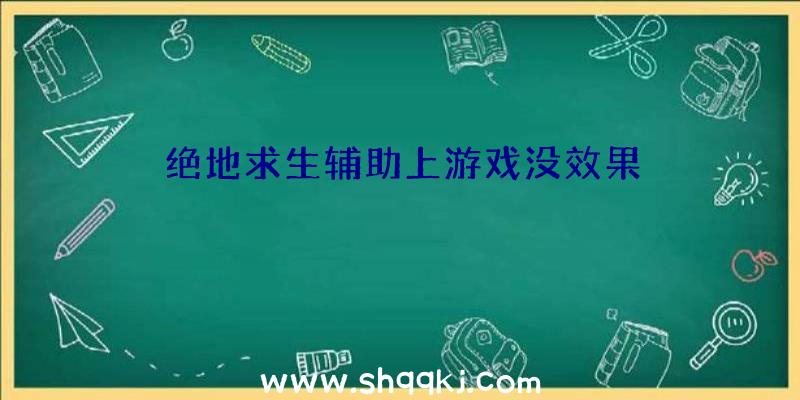 绝地求生辅助上游戏没效果