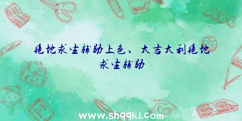 绝地求生辅助上色、大吉大利绝地求生辅助