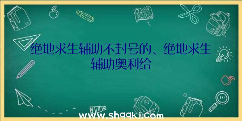 绝地求生辅助不封号的、绝地求生辅助奥利给