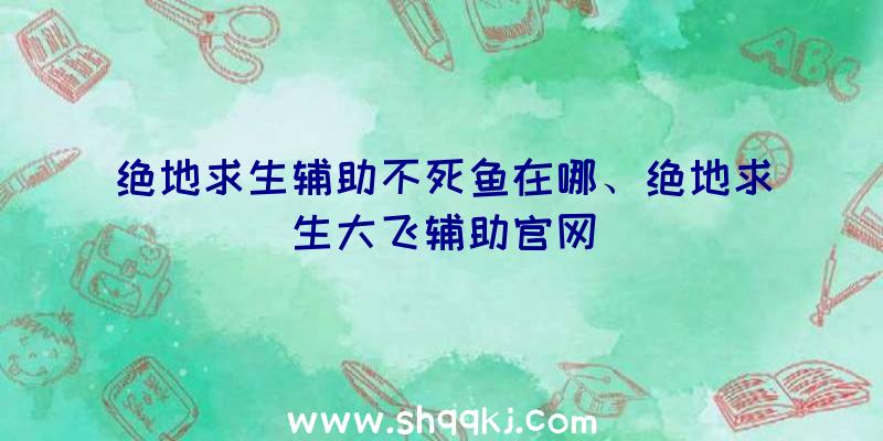 绝地求生辅助不死鱼在哪、绝地求生大飞辅助官网