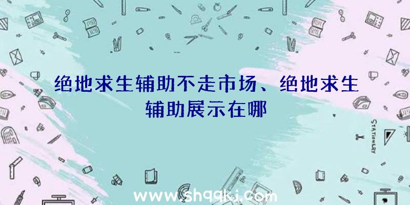 绝地求生辅助不走市场、绝地求生辅助展示在哪