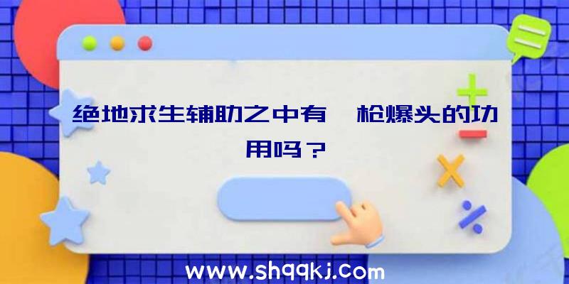 绝地求生辅助之中有一枪爆头的功用吗？