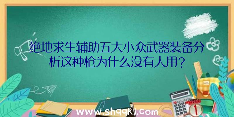 绝地求生辅助五大小众武器装备分析这种枪为什么没有人用？