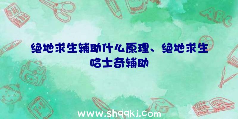 绝地求生辅助什么原理、绝地求生哈士奇辅助