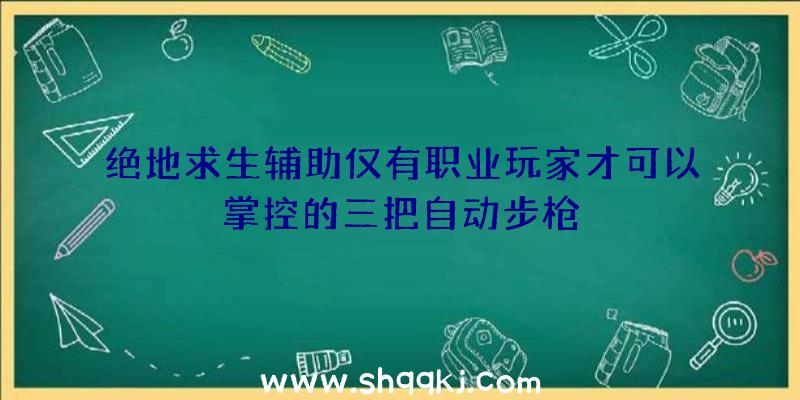 绝地求生辅助仅有职业玩家才可以掌控的三把自动步枪