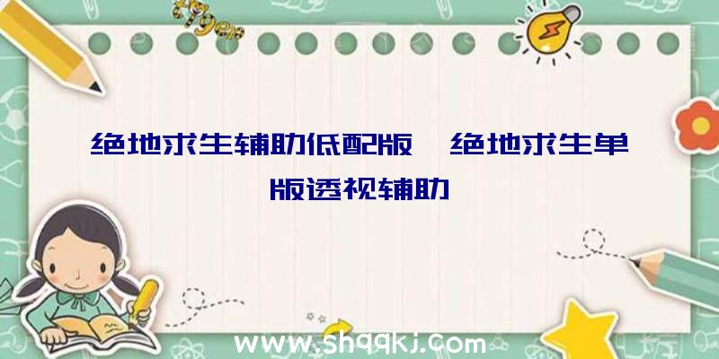 绝地求生辅助低配版、绝地求生单版透视辅助