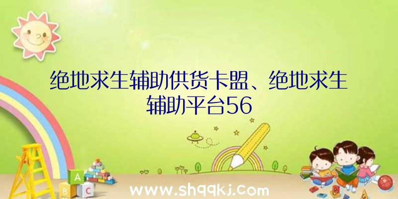 绝地求生辅助供货卡盟、绝地求生辅助平台56