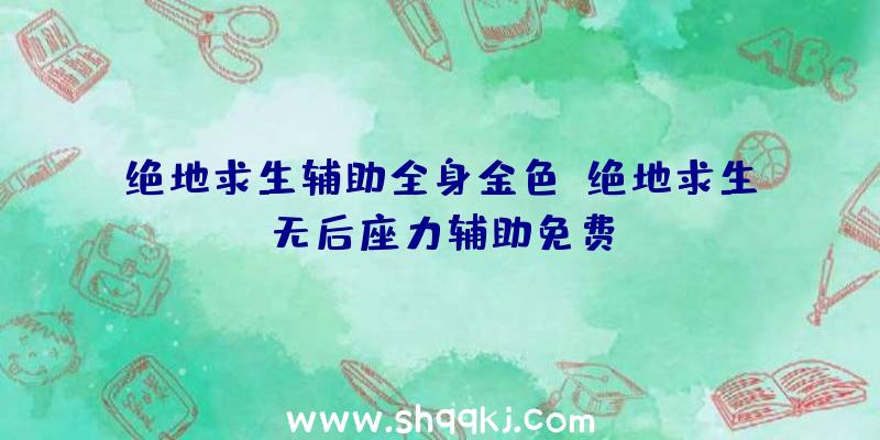 绝地求生辅助全身金色、绝地求生无后座力辅助免费