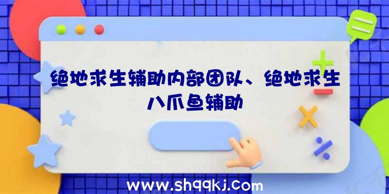 绝地求生辅助内部团队、绝地求生八爪鱼辅助