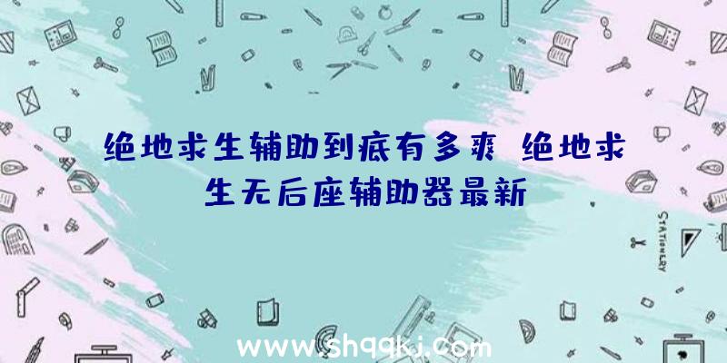 绝地求生辅助到底有多爽、绝地求生无后座辅助器最新