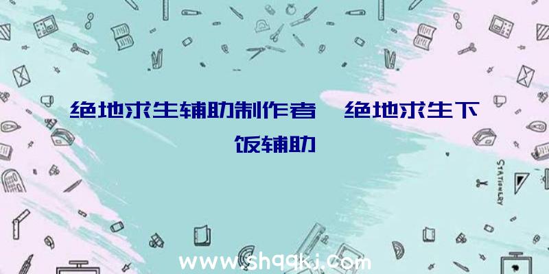 绝地求生辅助制作者、绝地求生下饭辅助