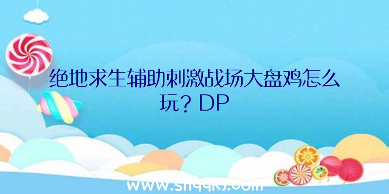 绝地求生辅助刺激战场大盘鸡怎么玩？DP