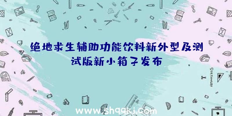 绝地求生辅助功能饮料新外型及测试版新小箱子发布