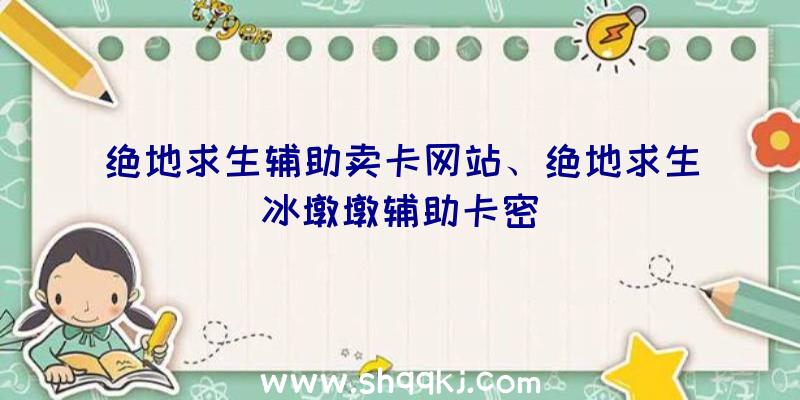 绝地求生辅助卖卡网站、绝地求生冰墩墩辅助卡密