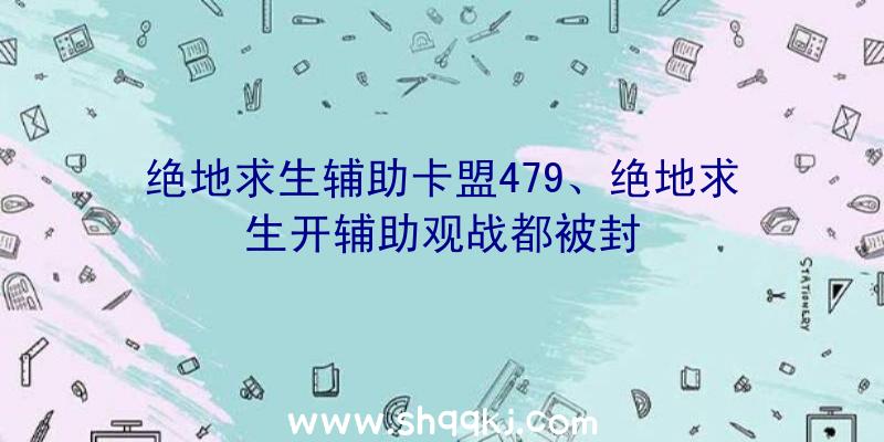 绝地求生辅助卡盟479、绝地求生开辅助观战都被封