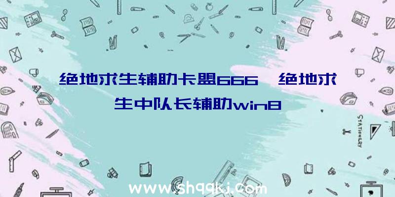 绝地求生辅助卡盟666、绝地求生中队长辅助win8