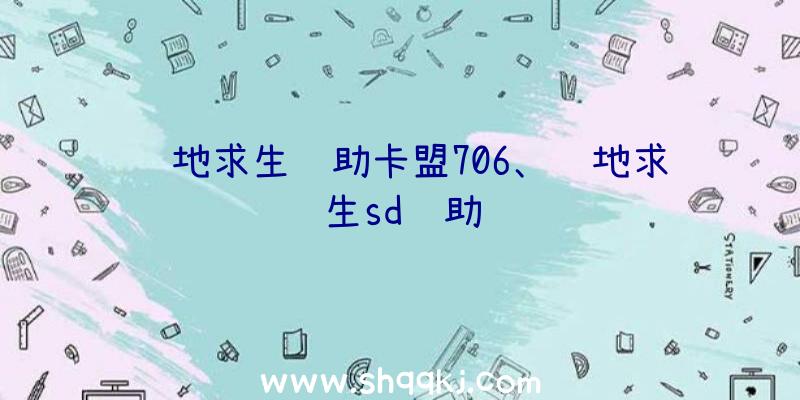 绝地求生辅助卡盟706、绝地求生sd辅助