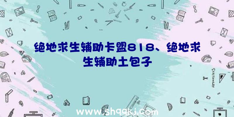 绝地求生辅助卡盟818、绝地求生辅助土包子