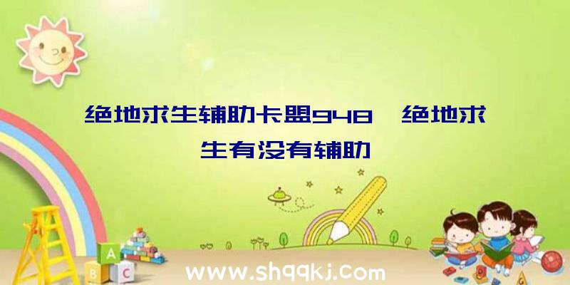 绝地求生辅助卡盟948、绝地求生有没有辅助