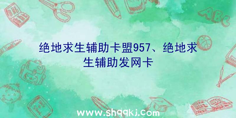 绝地求生辅助卡盟957、绝地求生辅助发网卡