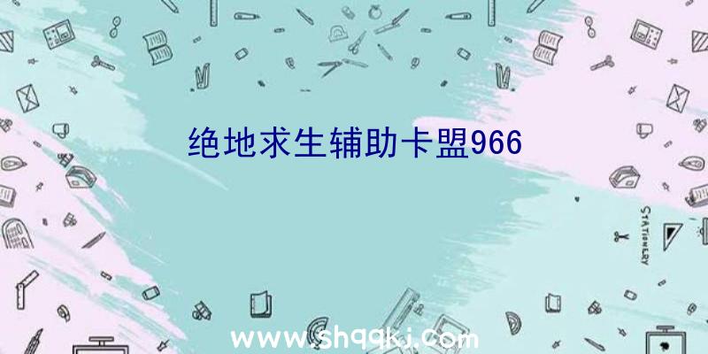 绝地求生辅助卡盟966