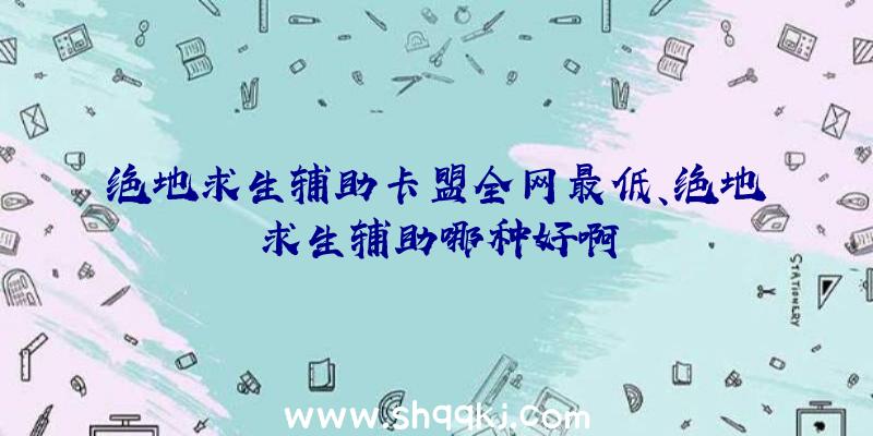 绝地求生辅助卡盟全网最低、绝地求生辅助哪种好啊