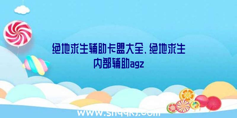 绝地求生辅助卡盟大全、绝地求生内部辅助agz