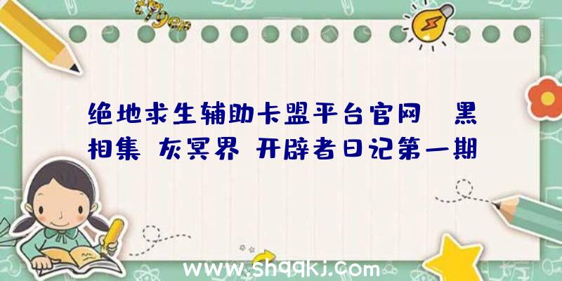 绝地求生辅助卡盟平台官网：《黑相集：灰冥界》开辟者日记第一期：明星脚色阿什丽·提斯代尔也将介入